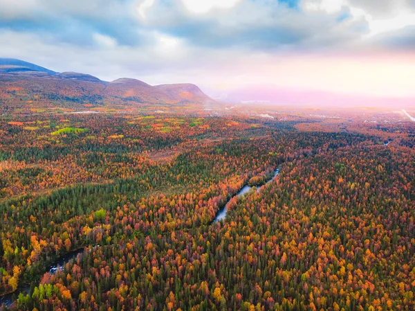 Herbstwald mit gelben und roten Bäumen und blauer Flussluftaufnahme — Stockfoto