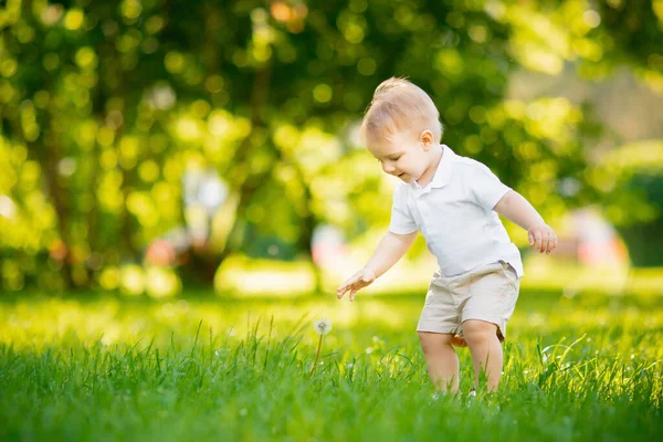 Primeiro passo bebê, menino Retrato rastejando se levantar no parque Luz solar. Desenvolvimento conceitual, crescer — Fotografia de Stock