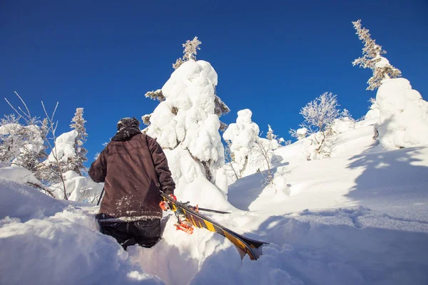 Skifahrer klettert an sonnigem Wintertag für Freeride-Neuschnee bergauf — Stockfoto