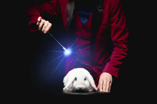 Чарівник з кроликом і чарівною паличкою показує фокус — стокове фото
