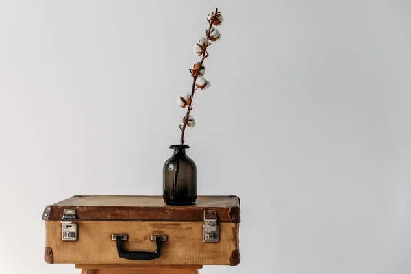 Minimalista design skandináv stílusban, betonfal, száraz pamut állványok barna bőröndön — Stock Fotó