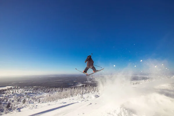 Skier skacze w świeżym śniegu freeride w górach na tle lasu — Zdjęcie stockowe