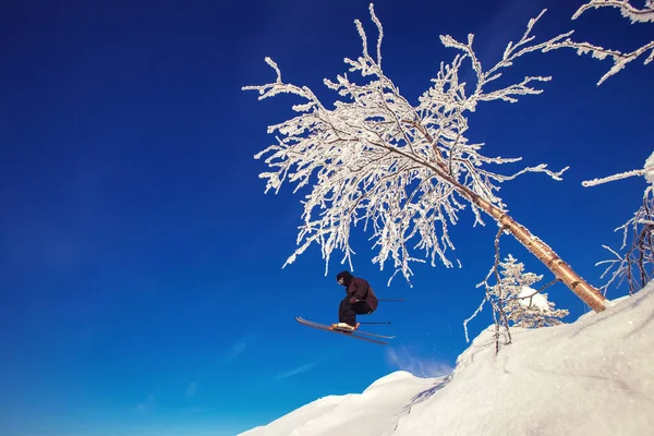 Skifahrer springt im Neuschnee Freeride in den Bergen vor Wald — Stockfoto