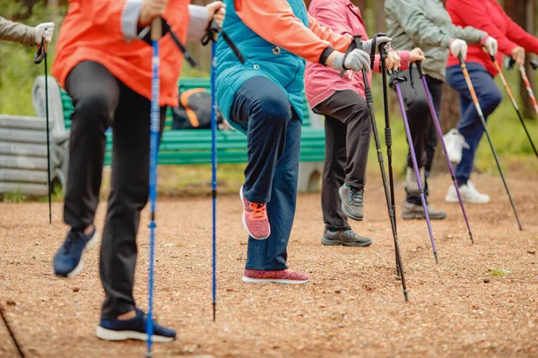 Les femmes âgées font de la marche nordique avec des bâtons dans la forêt de conifères, concept qui est bon pour la forme physique — Photo