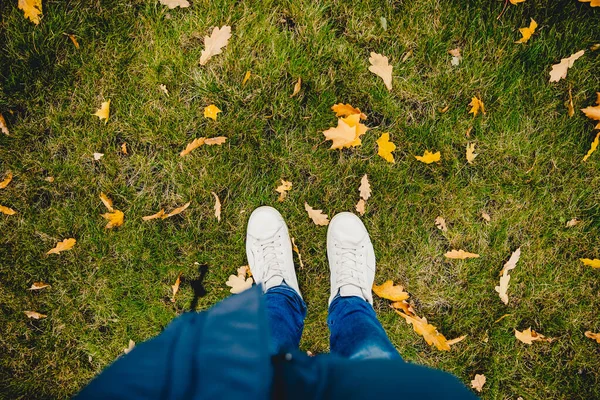 Fondo de otoño, el hombre en zapatos blancos está rodeado de hojas amarillas caídas. Concepto de estilo de vida — Foto de Stock