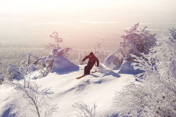 Skier jumps in fresh snow freeride in mountains against background forest