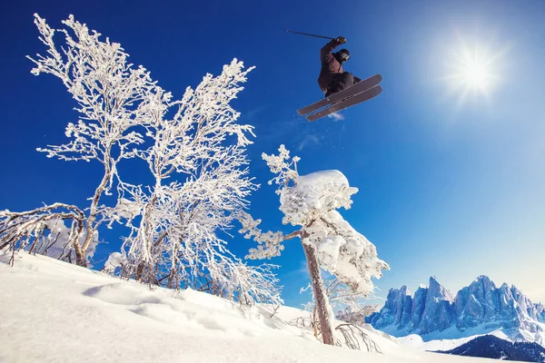 Skier jumps in fresh snow freeride in mountains Alps against background forest — Stock Photo, Image