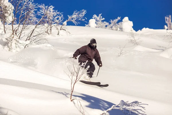 Skifahrer springen in den Bergen vor dem Hintergrund Wald. Extremsportkonzept — Stockfoto