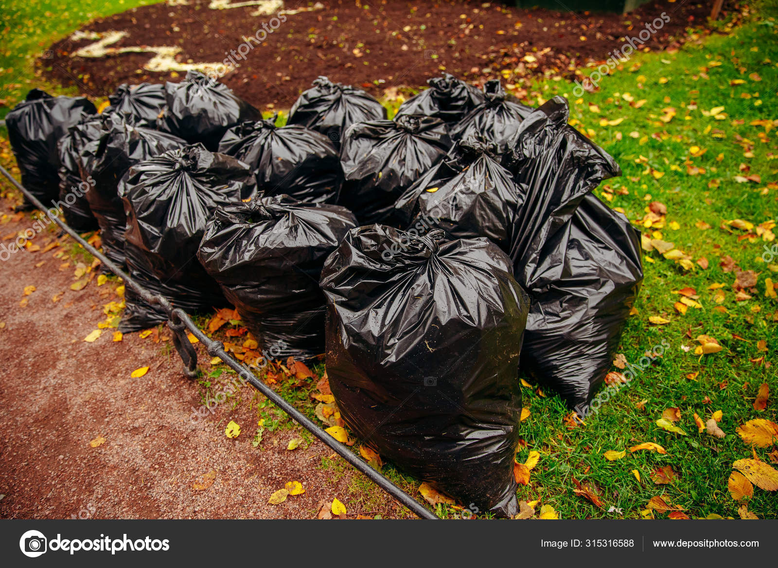 Two biodegradable trash bags full of yellow leaves on green grass Stock