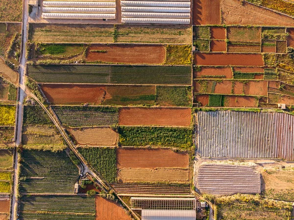 Campos para plantar verde, amarillo, invernaderos cultivando tomates y fresas. Vista superior aérea —  Fotos de Stock