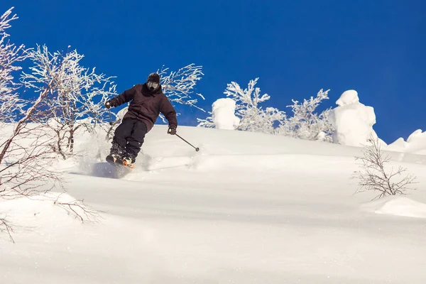 Skier άλματα σε φρέσκο χιόνι freeride στα βουνά με φόντο δάσος — Φωτογραφία Αρχείου