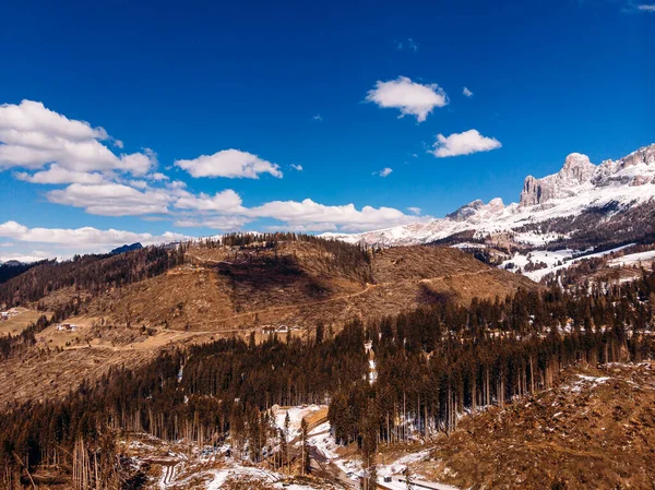 Alpler Dağları, Italya 'da ormansızlaşma. Dolomites arka planda ağaç gövdeleri felled. Havadan görünüm — Stok fotoğraf