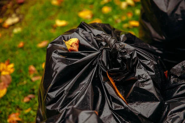 Sacchetti di immondizia biodegradabili per raccogliere foglie autunnali cadute — Foto Stock