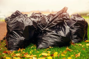 Düşen sonbahar yapraklarını toplamak için ayrıştırılabilir çöp torbaları