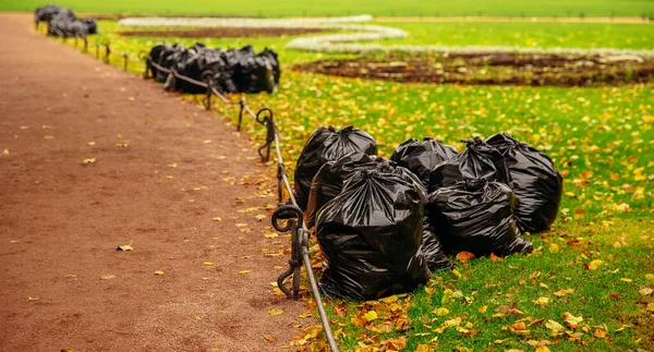 Deux sacs poubelle biodégradables remplis de feuilles jaunes sur herbe verte — Photo