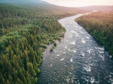 Yaz aylarında hızlı ve şelaleli bir dağ nehri ve kozalaklı bir orman. Havadan üst görünüm
