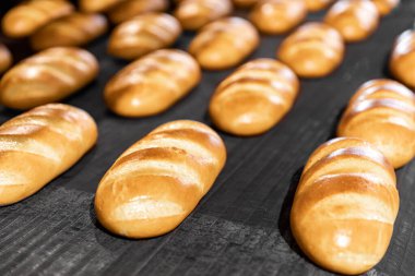 Otomatik üretim hattı fırınında taze pişmiş ekmek. Endüstriyel üretim