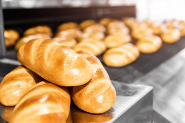 Otomatik üretim hattı fırını fırından fırınlanmış ekmekler