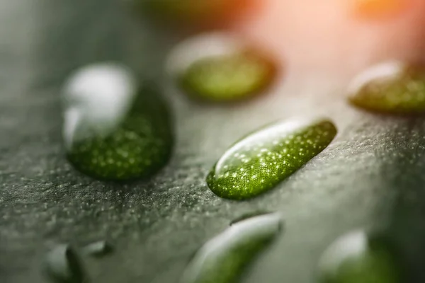 Macro gotas de orvalho de água de chuva transparente em folha verde. Bela luz natural do sol fundo — Fotografia de Stock