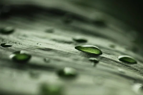 Macro gotas de água de chuva transparente na folha verde. Ambiente natural bonito fundo — Fotografia de Stock