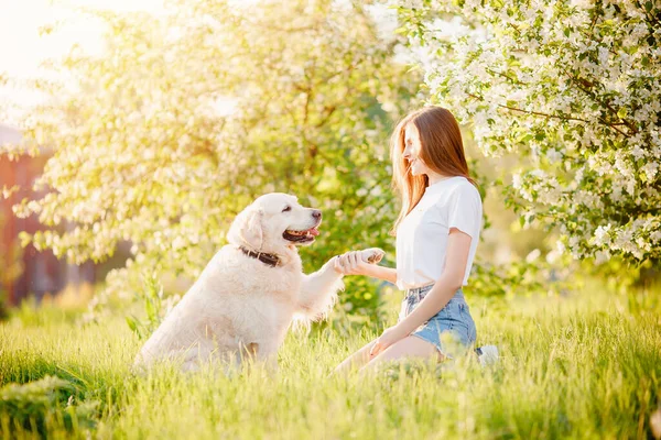 Meisjescynoloog traint Labrador Retriever dog bij give paw team in zomerpark — Stockfoto