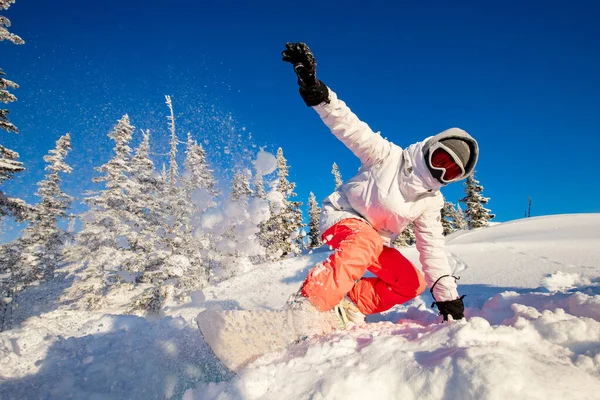 Akční snowboardista na snowboardu jezdí na čerstvém sněhu v lese, výbuch prachu. Freeride v lyžařském středisku Alpy — Stock fotografie