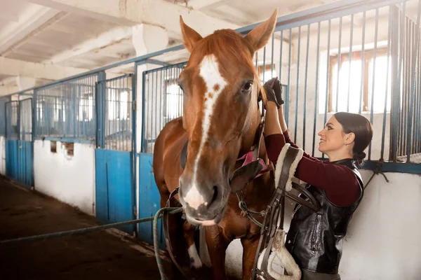 Femme toilettage brosse cheval et se prépare après la promenade en stalle — Photo