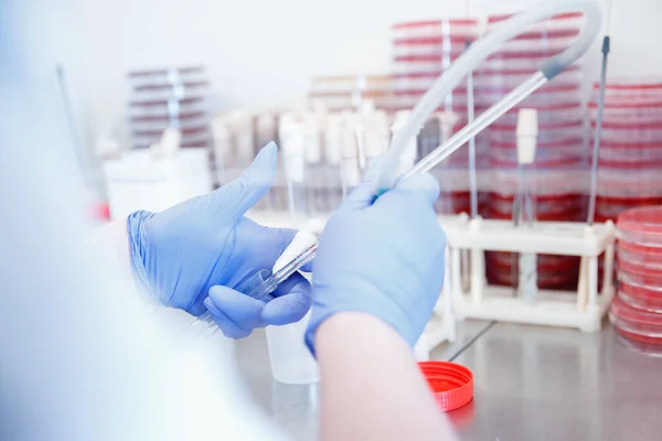 Microbiología mano médica que trabaja en bacterias de cultivo de placas de agar y resistencia a los medicamentos de patógenos en el laboratorio y la identificación bacteriana — Foto de Stock