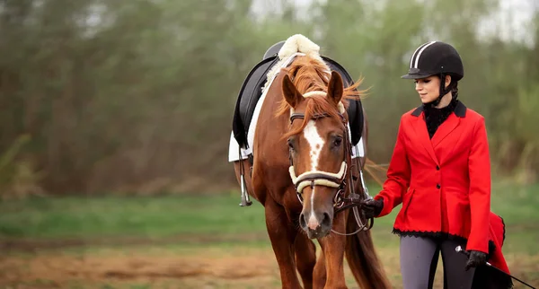 Ιππασίας άθλημα, νεαρή γυναίκα αναβάτης ιππασία καφέ άλογο — Φωτογραφία Αρχείου