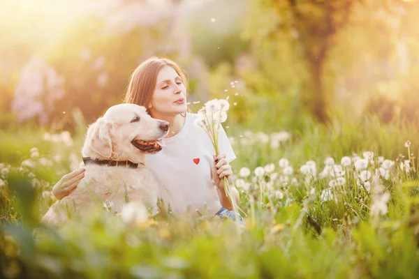 Friendship love people and animals, beautiful young woman with dog Labrador Retriever blowing dandelions in summer park