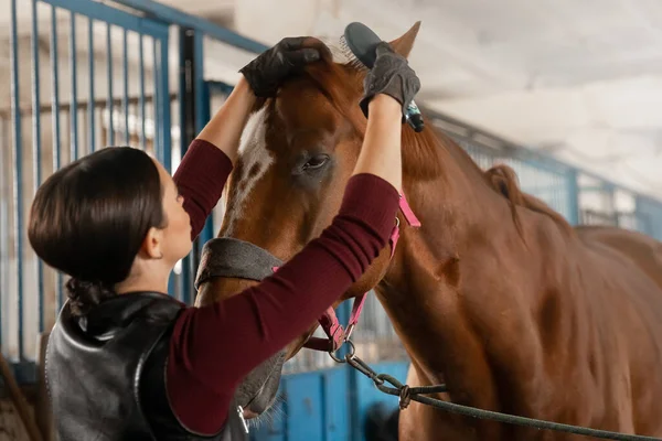 Γυναίκα ιππέας ετοιμάζεται να ιππεύσει άλογο διασχίζοντας τον ιππόδρομο — Φωτογραφία Αρχείου