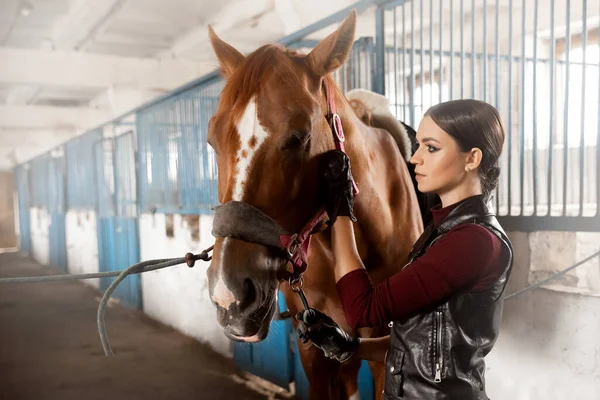 Femme toilettage brosse cheval et se prépare après la promenade en stalle — Photo