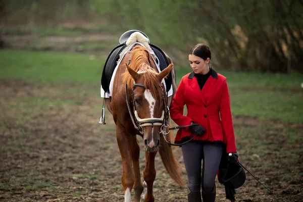 Sport équestre, jeune femme jockey monte cheval brun — Photo