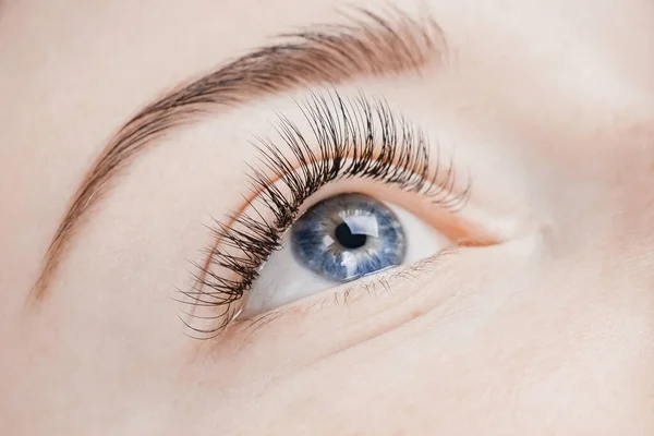 Procedimiento de extensión de pestañas. Hermosos ojos femeninos con pestañas largas, primer plano — Foto de Stock