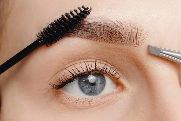 O mestre escova sobrancelhas à mulher no salão de beleza. Correção do cabelo da sobrancelha — Fotografia de Stock