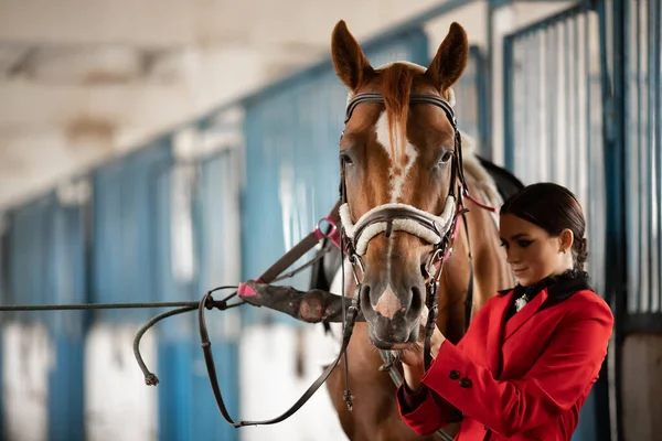 Jeune femme cavalière met en selle de cheval en stalle — Photo