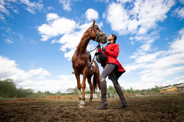 Ιππασίας άθλημα, νεαρή γυναίκα αναβάτης ιππασία καφέ άλογο — Φωτογραφία Αρχείου