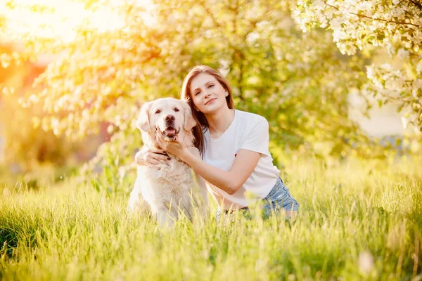 Young woman hugs dog Labrador Retriever outdoors in park, sunny day. Animals best friends concept