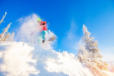 Snowboardcu adam mavi gökyüzüne karşı kış ormanlarında zıplıyor.