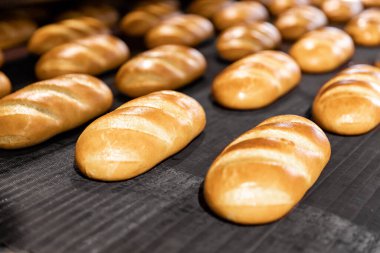 Fırından otomatik üretim hattındaki fırında pişmiş ekmek.