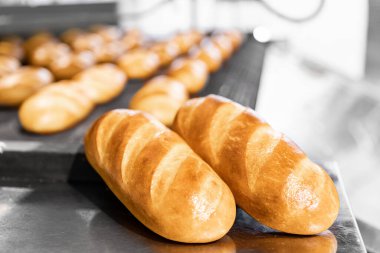 Otomatik üretim hattı fırını Taze sıcak ekmek