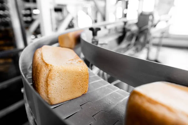 自動生産ラインベーカリーで焼きたてのホットパン。工業生産 — ストック写真