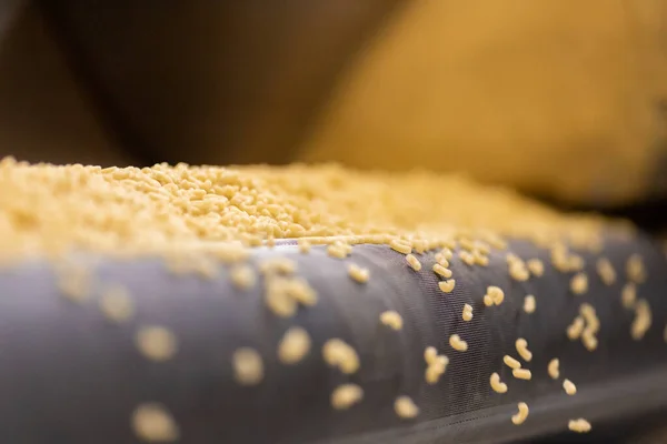 Produzione pasta trasportatore automatico, essiccazione e insaccatura in vendita — Foto Stock