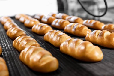 Otomatik üretim hattı fırınında taze pişmiş ekmek. Endüstriyel üretim