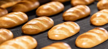 Otomatik üretim hattı fırınında taze pişmiş ekmek. Endüstriyel üretim