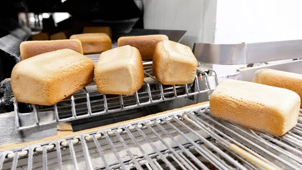Pães cozidos a quente frescos na padaria da linha de produção automatizada. Fabricação industrial — Fotografia de Stock