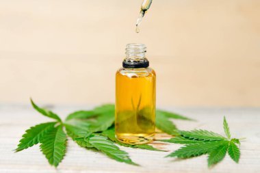Yağlı makro CBD kenevir, esrar şişesi tutan adam marihuana bitkisi bırakıyor. Bitkisel tedavi kavramı