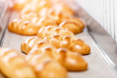 Otomatik üretim hattı fırınında taze pişmiş ekmek. Endüstriyel üretim