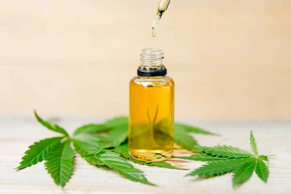 Oil macro CBD hemp, man holding bottle of cannabis against leaves marijuana plant. Concept herbal treatment — Stock Photo, Image