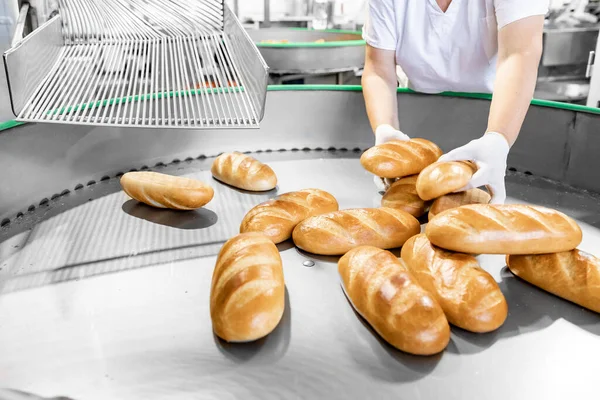 Panettiere confeziona pane in vendita in negozio, produzione alimentare industriale — Foto Stock